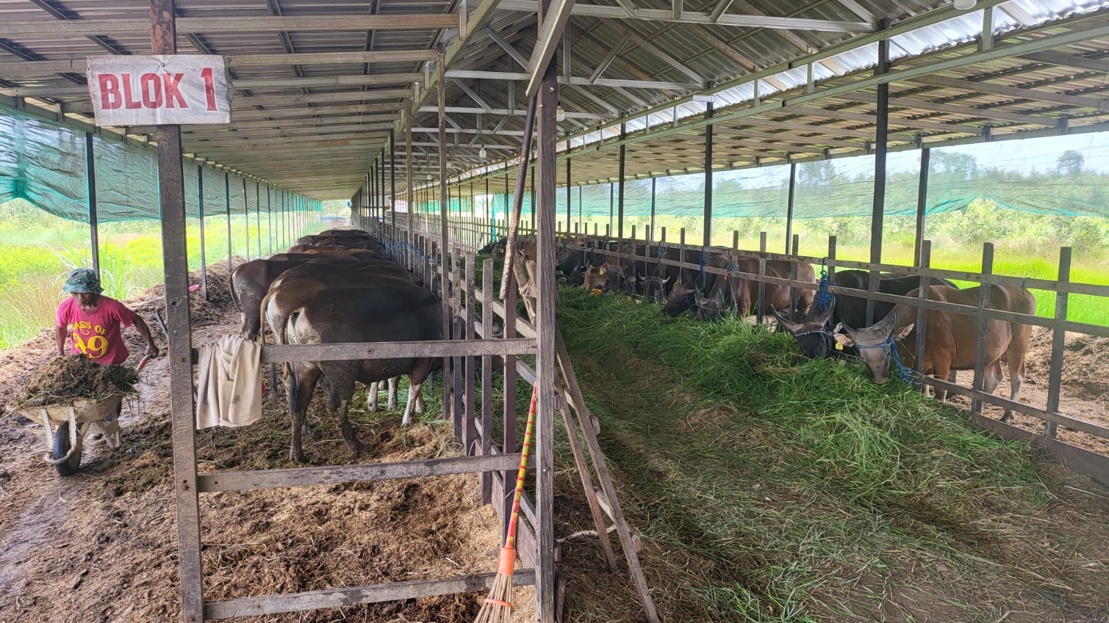 WhatsApp Image 2025-08-27 at 14.18.18